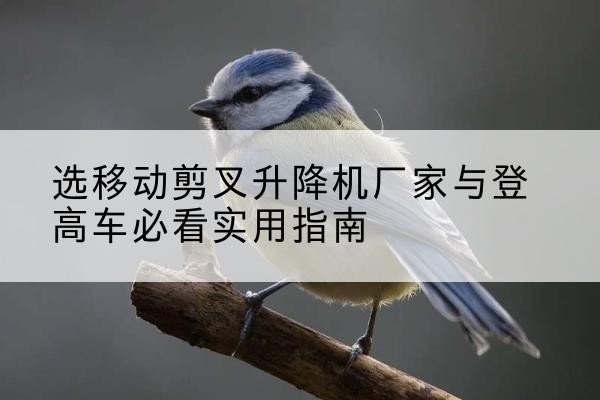 禅城电动升降机厂家-选移动剪叉升降机厂家与登高车必看实用指南