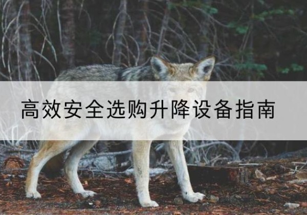 禅城升降货梯厂家推荐-*安全选购升降设备指南