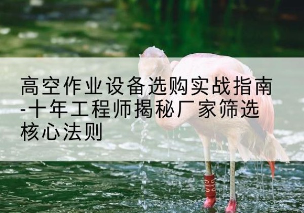 禅城剪叉式升降机厂家-高空作业设备选购实战指南-十年工程师揭秘厂家筛选核心法则